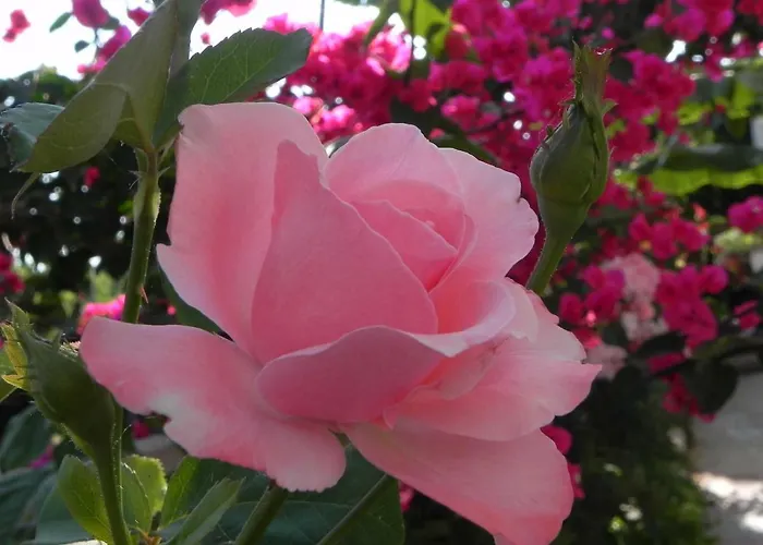 Szálloda Ulysses Methóni